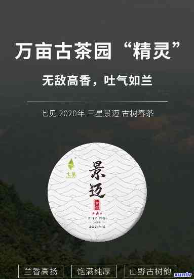 永德古圆春茶厂：地址与 *** 信息全览