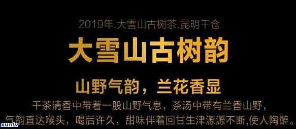 大雪山茶叶官网： *** 信息与地址全在这里