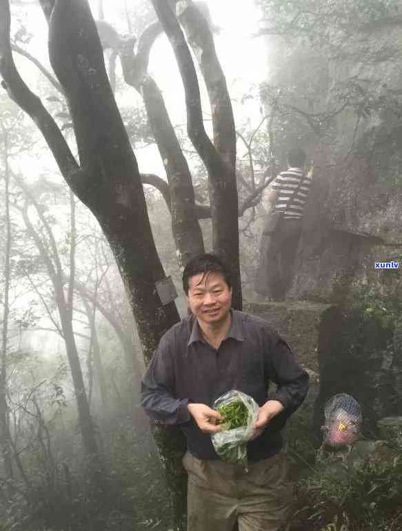 探究关罗坑红茶品种及其特点