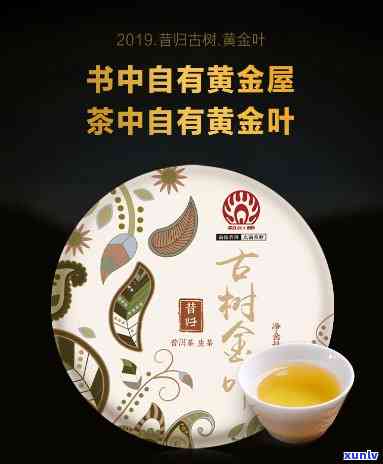 昔归黄金叶茶价格，探寻优质茶叶之选：昔归黄金叶茶的价格解析