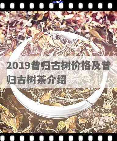 昔归古树2017年价格，【最新资讯】昔归古树2017年价格公布，收藏家们请关注！