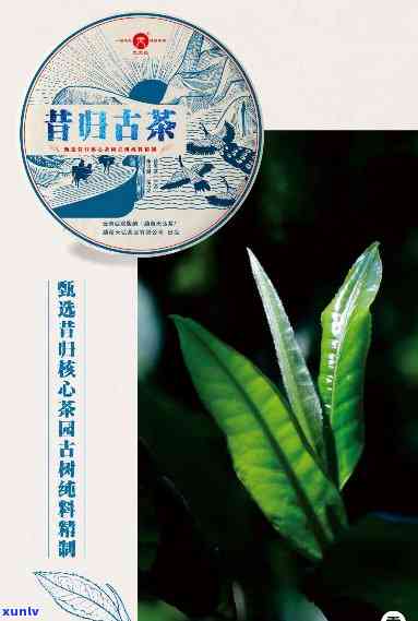 昔归哪座茶山的产品，探寻昔归茶香：揭秘哪座茶山的优质产品