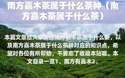 南方嘉木红茶多少钱一斤，南方嘉木红茶价格：每斤多少元？