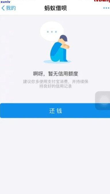 大益普洱茶价格及批发信息：如何在京东购买实的普洱茶一罐？