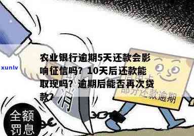 农行信用卡晚还5天是否会上？有何影响？解决办法是什么？