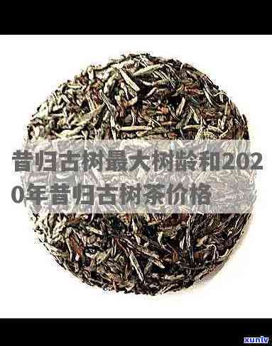 昔归古树茶的历与2020年价格全揭秘