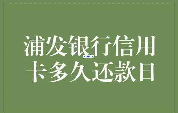 大益普洱茶红玉最新价格：了解品种、产地、年份及市场趋势的全方位指南