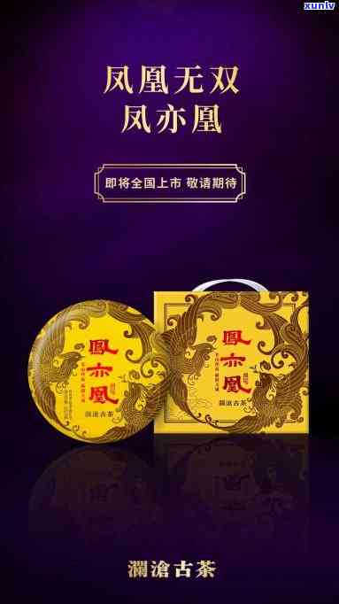 凤亦凰澜沧古茶：价格、品质全解析