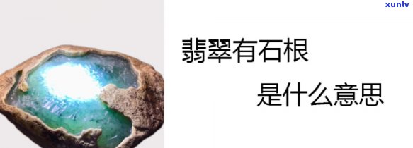 如何翡翠的根-翡翠的根是什么样子的