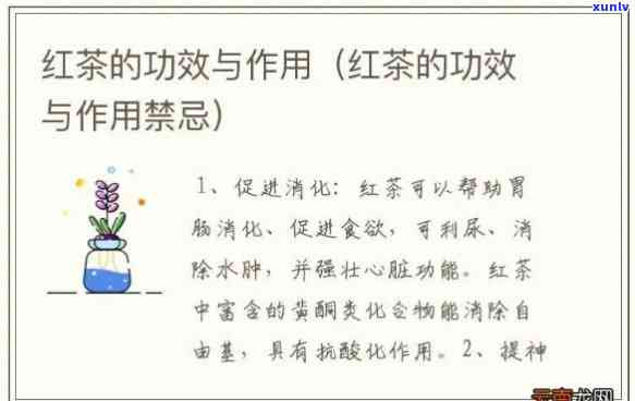 红茶喝的功效：作用、禁忌与全面解析