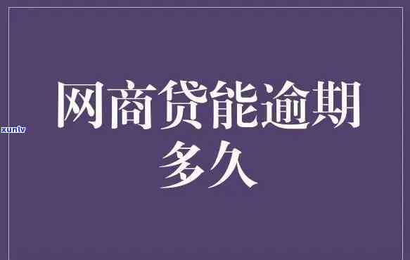 网商贷逾期对  店主作用，网商贷逾期：怎样避免对  店铺造成作用？