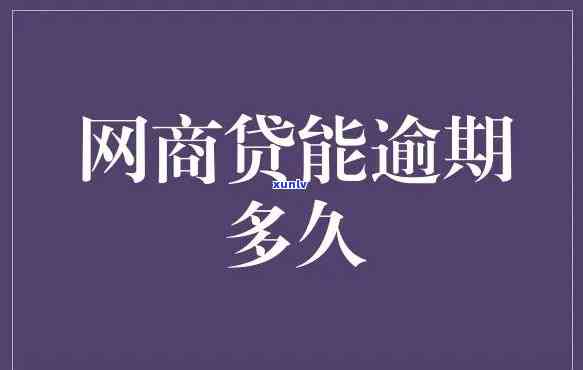   网商贷逾期10天，怎样解决？