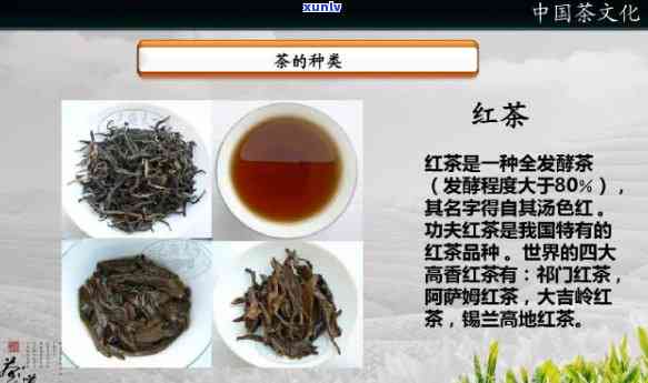 四大高香红茶是哪些，探索茶叶世界：揭秘四大高香红茶