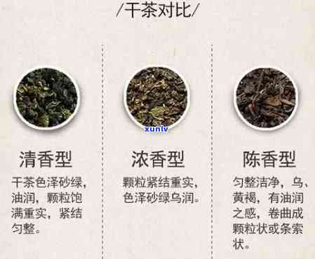 世界四大高香茶是哪三种，探索世界四大高香茶：你了解其中的三种吗？