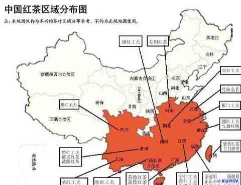 经典红茶产地有哪些地方？带你探索世界各地优质茶叶源头