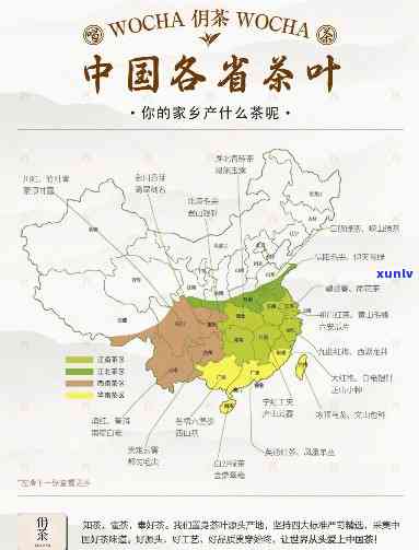 经典红茶产地有哪些地方？带你探索世界各地优质茶叶源头