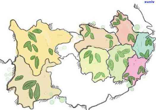 中国红茶产地有哪些地方，探寻中国红茶的起源地：那些你不可错过的产区