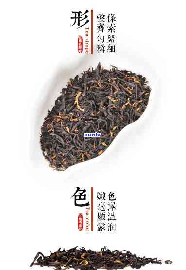 中国红茶产地有哪些-中国红茶产地有哪些地方