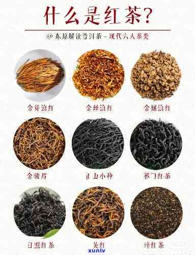 四大红茶都包括哪些品种，探秘四大红茶：品种全解析