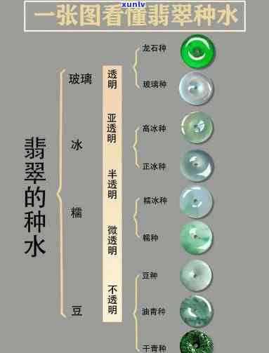 全面解析：干翡翠颜色种类与图片展示