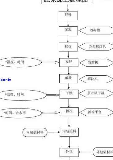 红茶加工工艺有哪些种类？详解各类加工 *** 及图片展示