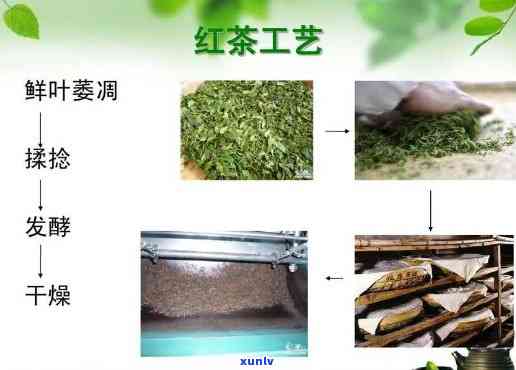 红茶加工工艺的三种主要类别是什么？