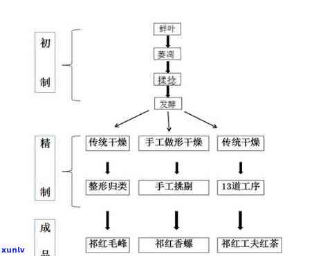 红茶加工工艺的三种主要类别是什么？