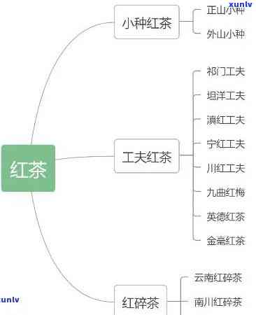 红茶加工工艺有哪些-红茶加工工艺有哪些种类