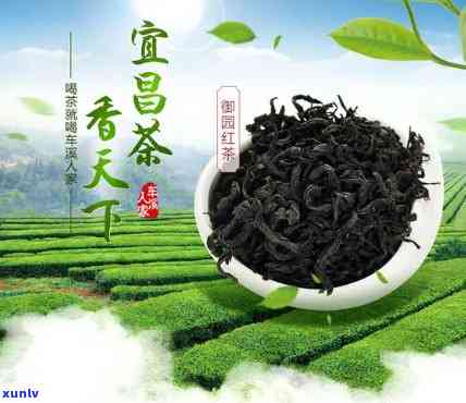 宜都红茶有哪些-宜都红茶有哪些名字