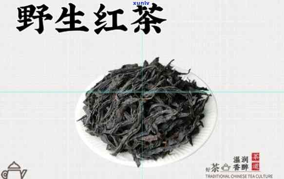 野生红茶长什么样？看图了解其形态特征！