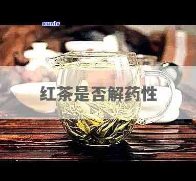 红茶会不会降低药性-红茶会不会降低药性呢