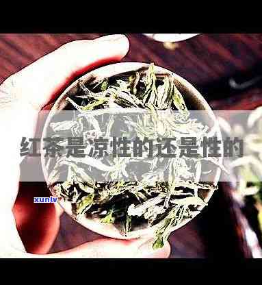 红茶是性还是寒性-红茶是性还是寒性的