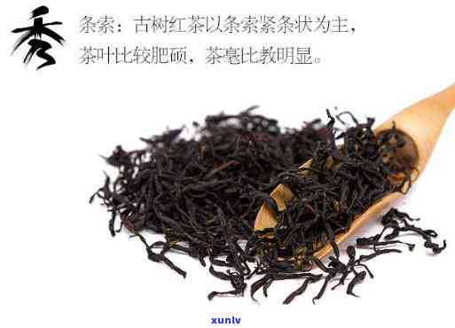 野生红茶价钱水知秀-野生红茶珍品