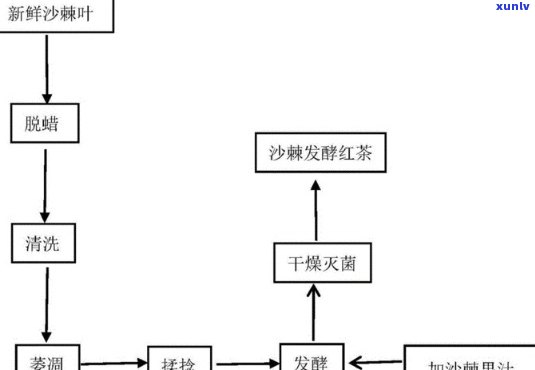 红茶品质的关键工序是什么，揭秘红茶品质：关键工序解析