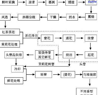 红茶加工的关键工序解析：步骤、流程与内容全解