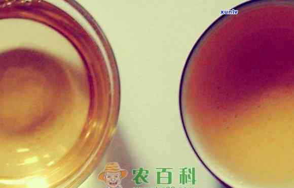 红茶菌与萎缩性胃炎有关系吗？可以食用和饮用吗？