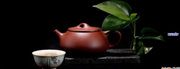 泥壶泡红茶怎么样-泥壶可以泡红茶吗