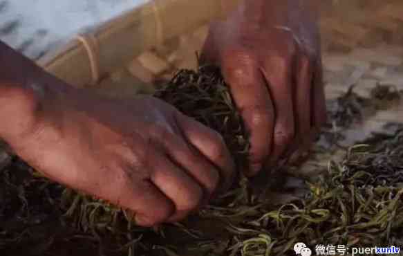 红茶揉捻到什么程度，掌握揉捻技巧：红茶的完美程度在哪里？