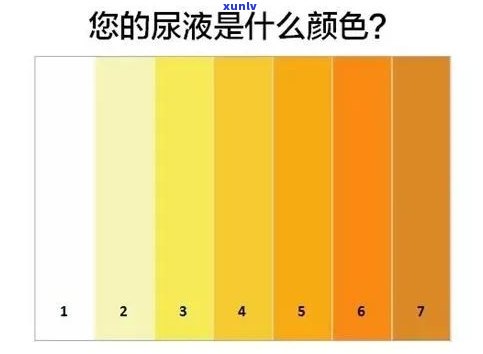 信用卡逾期报警新闻稿怎么写-信用卡逾期报警新闻稿怎么写啊