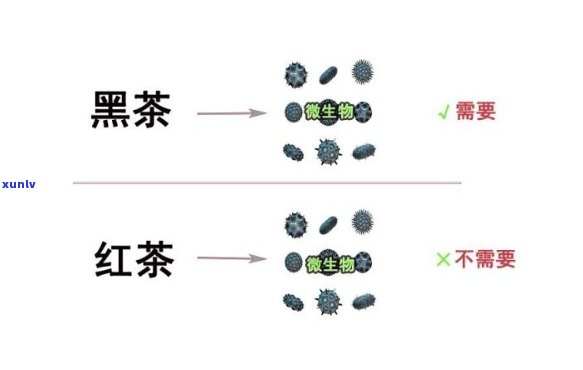 建行消费贷怎么算逾期-建行消费贷怎么算逾期的