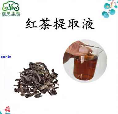 红茶浓缩液有热量吗，探究红茶浓缩液的热量含量