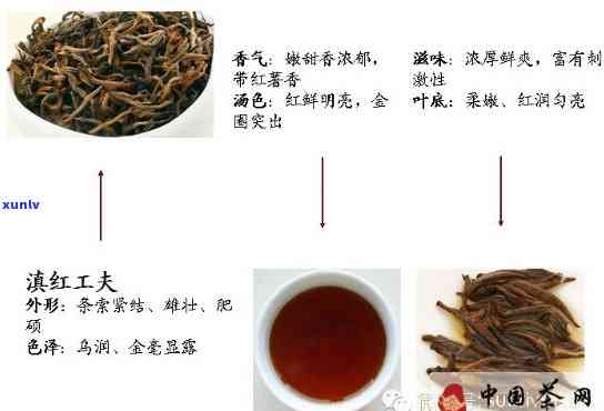 老班章普洱熟茶357克市场价格解析