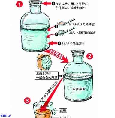 红茶菌有什么副作用-红茶菌有什么副作用和禁忌