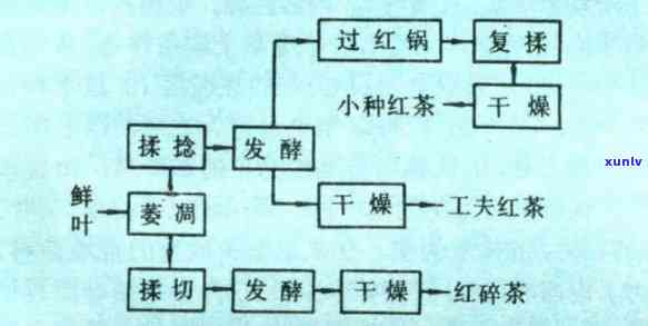 红茶发酵工艺：适宜环境度的要求及流程