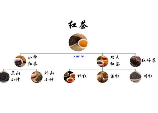 红茶发酵工艺的作用-红茶发酵工艺的作用是什么