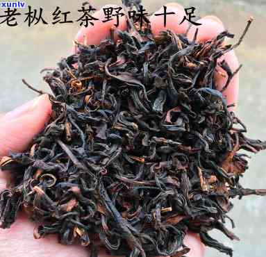 红茶老枞的作用与功效全解析