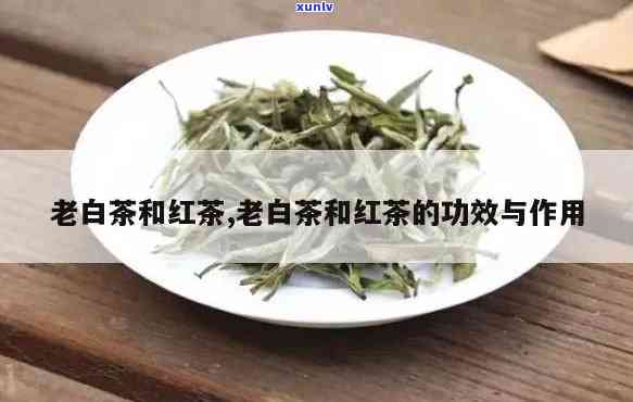 红茶老枞有什么作用-红茶老枞有什么作用?