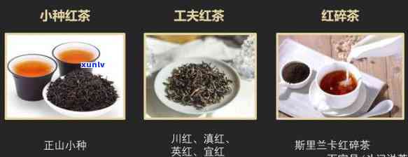 沙巴红茶是什么茶？详解其种类与特点