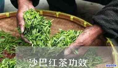 沙巴红茶功效与作用-沙巴红茶功效与作用禁忌