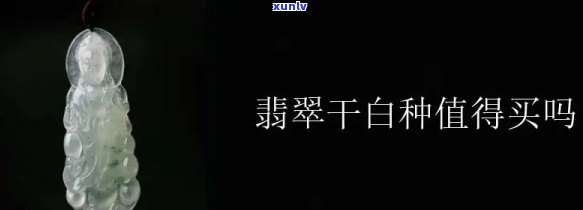干白地翡翠：特性、价格全面解析